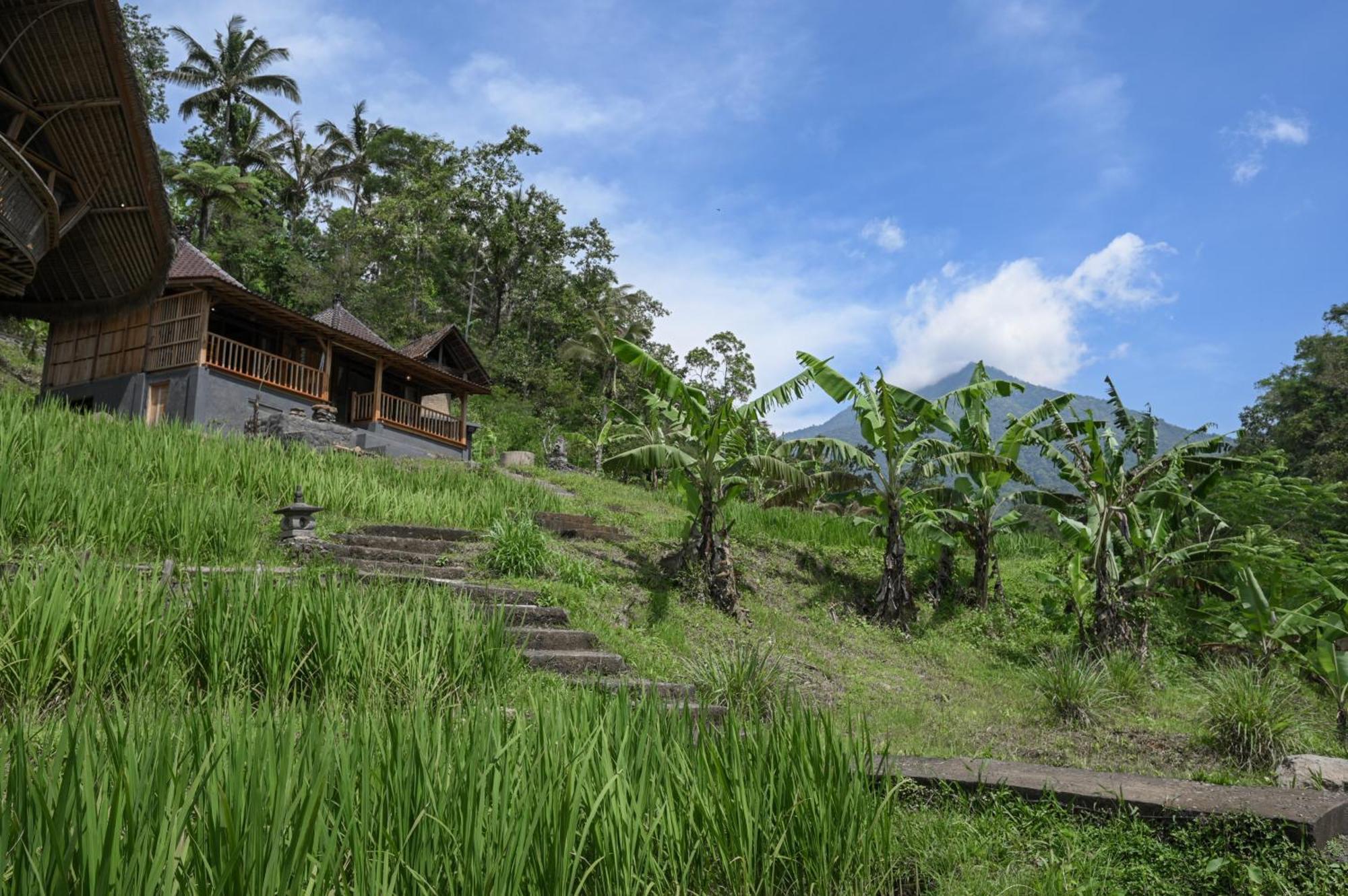 Keuma Villa & Resto Jatiluwih By The Lavana Exteriör bild